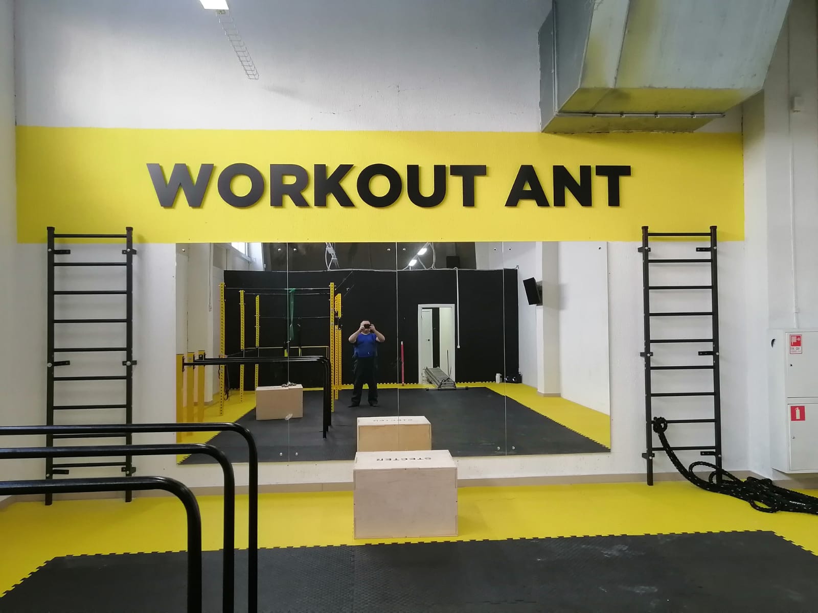 Объёмные буквы Workout Ant